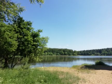 ������ ��������� ������� �� 45 �� �� ���� ��������� ����� �. ��������� ���������� ������������� (���� �8)