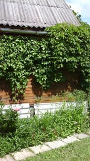 ������ ��������� ������� � ��� �������� �� 40 �� �� ���� (���� �15)