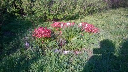 ������ ��� ���� ����������� ��������������� ����� (���� �8)