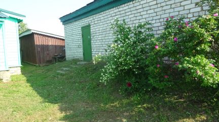 ������ ��� ���� ����������� ��������������� ����� (���� �4)