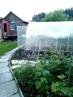 ������ ��������� ������� � ��� �����������-1 (���� �15)