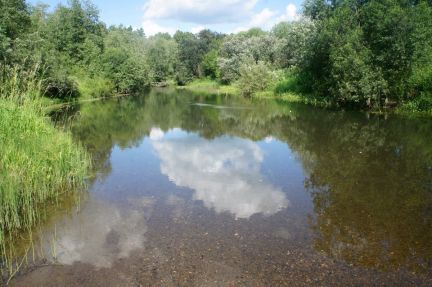 ������ ��� �� 320 �� �� ���� (���� �4)