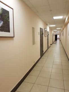 ����� ���� �� �����-����� (���� �3)