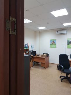 ����� ���� �� �����-����� (���� �4)