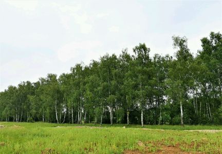 ������ ��������� ������� �� 18 �� �� ���� ������� ������ ����������� ����� (���� �7)