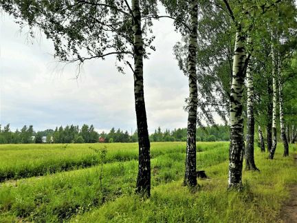 ������ ��������� ������� �� 18 �� �� ���� ������� ������ ����������� ����� (���� �6)