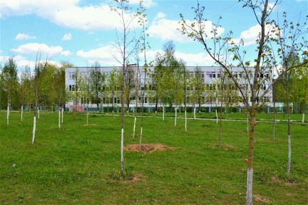 ������ ��������� ������� �� 18 �� �� ���� ������� ������ ����������� ����� (���� �11)