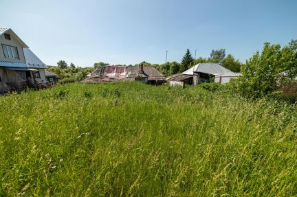 ������ ��������� ������� �� 25 �� �� ���� ������-������� (���� �10)