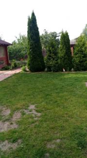 ������ ��������� ������� � ��� ������������� ����� ������� (���� �2)