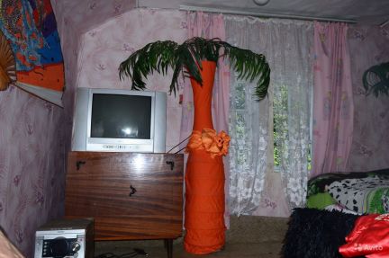 ������ ��� ���� ���� (���� �6)