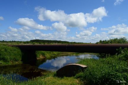 ������ ��� ���� ���� (���� �7)