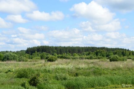 ������ ��� ���� ���� (���� �4)