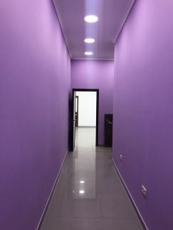 ����� �������� ��������� ����� ����������� (���� �12)