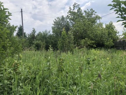 ������ ��� ���-�������� ���������������� ����� ����� ����� ������ ������� ��������� ����� �������� (���� �8)