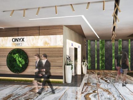  onyx deluxe  ( 10)