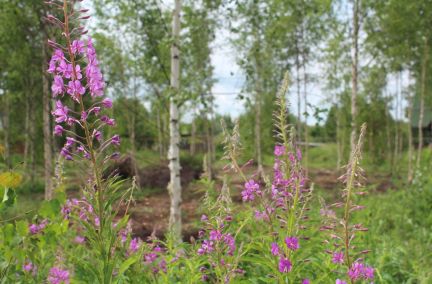 ������ ��������� ������� ���������� ������� ���������� ����� ������� �������� (���� �2)