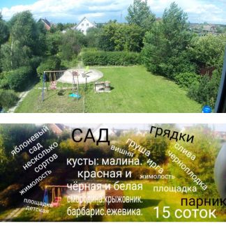 ������ ��� �� 40 �� �� ���� ��������� (���� �14)