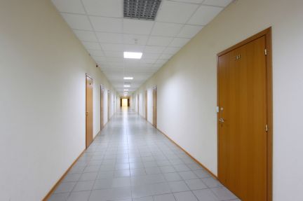 ����� ���� � �� ������� ������� (���� �19)