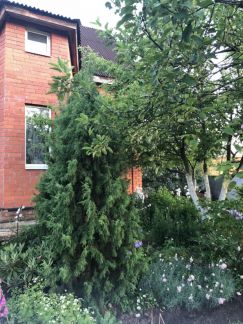 ������ ��� ������� ������������ �������� 136 (���� �7)