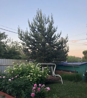 ������ ��� ������� ������������ �������� 136 (���� �8)