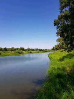 ������ ���� ������ � ������������ ������� � ����� �. ����� (���� �2)