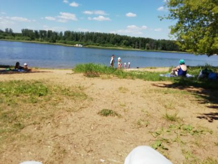 ������ ��� �� 40 ����� �� ���� ��������������� ����� �. ���������� (���� �8)