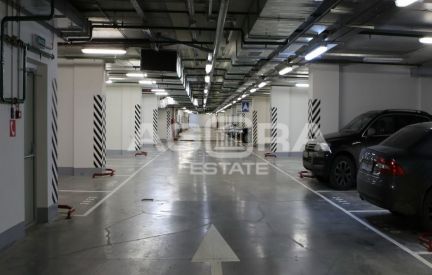 ������ ���� � �� ���� ������ (���� �8)