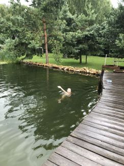 ����� ��� ��������� ���������� ����� � �������� (���� �12)