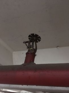 ������ ����� 1-� ������������� ������ 4�2� (���� �7)