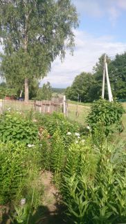 ������ ��������� ������� ������� (���� �3)