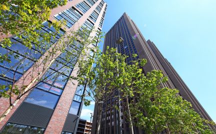 �� ����������� ���� ������ �������� (���� �7)