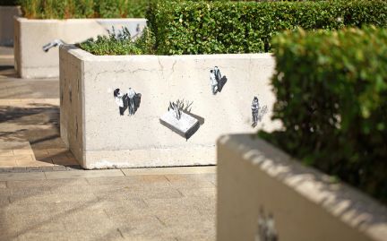 �� ����������� ���� ������ �������� (���� �9)