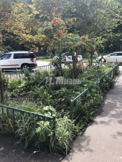 ������ �������� ���������� ����� ������ (���� �5)