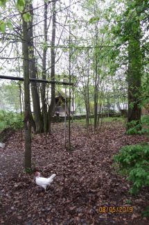 ������ ��� �� 35 �� �� ���� ��� ��������� ��������� ����� (���� �5)