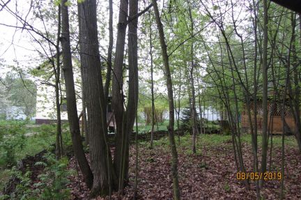 ������ ��� �� 35 �� �� ���� ��� ��������� ��������� ����� (���� �16)