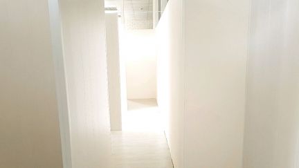      ( 5)