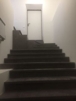       11 ( 16)