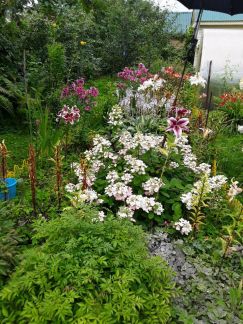 ������ ��������� ������� � ��� �������� �� 50 �� �� ���� (���� �18)