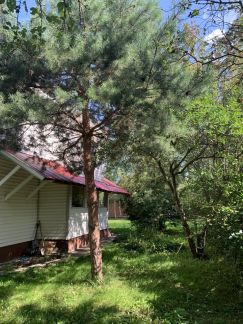 ����� ��� �� 27 �� �� ���� ��������� ����������� ����� (���� �17)