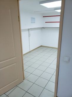     2 ( 11)