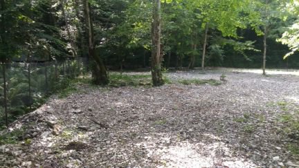 ������ ��������� ������� � ��� ������ (���� �2)