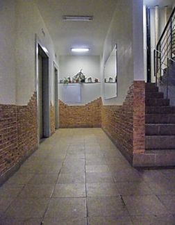      171 ( 18)
