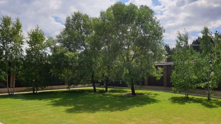 ������ ��� �� 12 �� �� ���� ������������� �. �������� (���� �10)