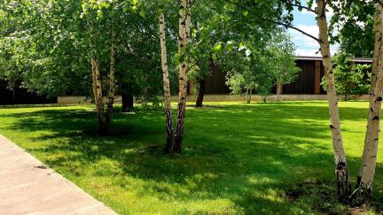 ������ ��� �� 12 �� �� ���� ������������� �. �������� (���� �8)