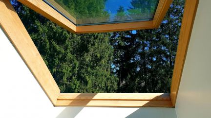 ������ ��� �� 12 �� �� ���� ������������� �. �������� (���� �13)