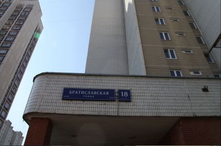      181 ( 15)