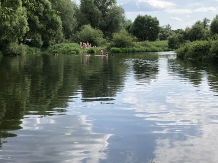 ������ �� 65 �� �� ���� �� ��������� ����� �. ������� (���� �18)