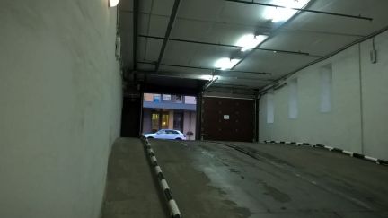       241 ( 3)
