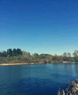 ������ ��������� ������� � �� �������� ����� (���� �3)