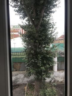 ������ �������� ����� �������� 26�2 (���� �6)